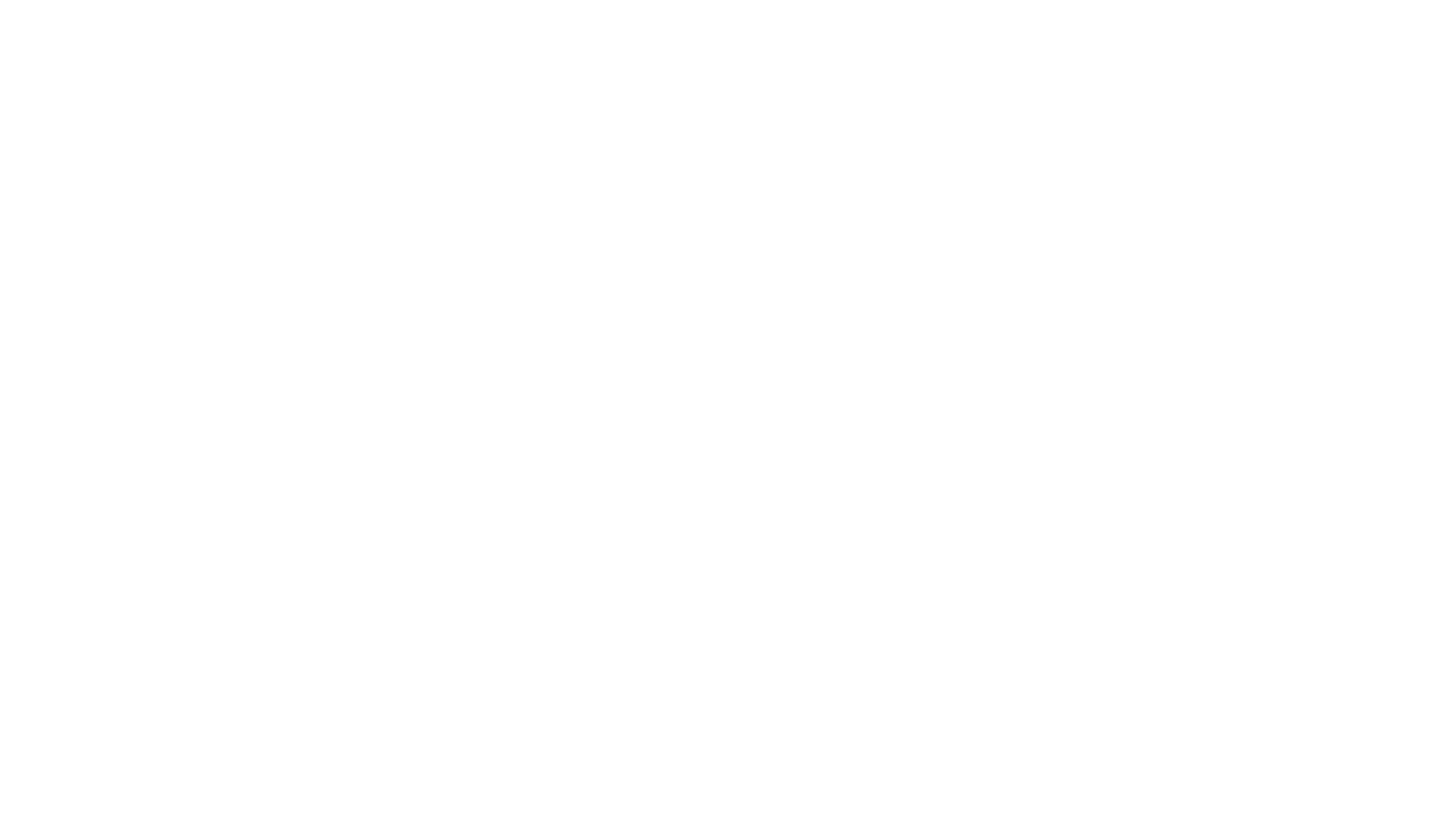 Stay ALYF Logo